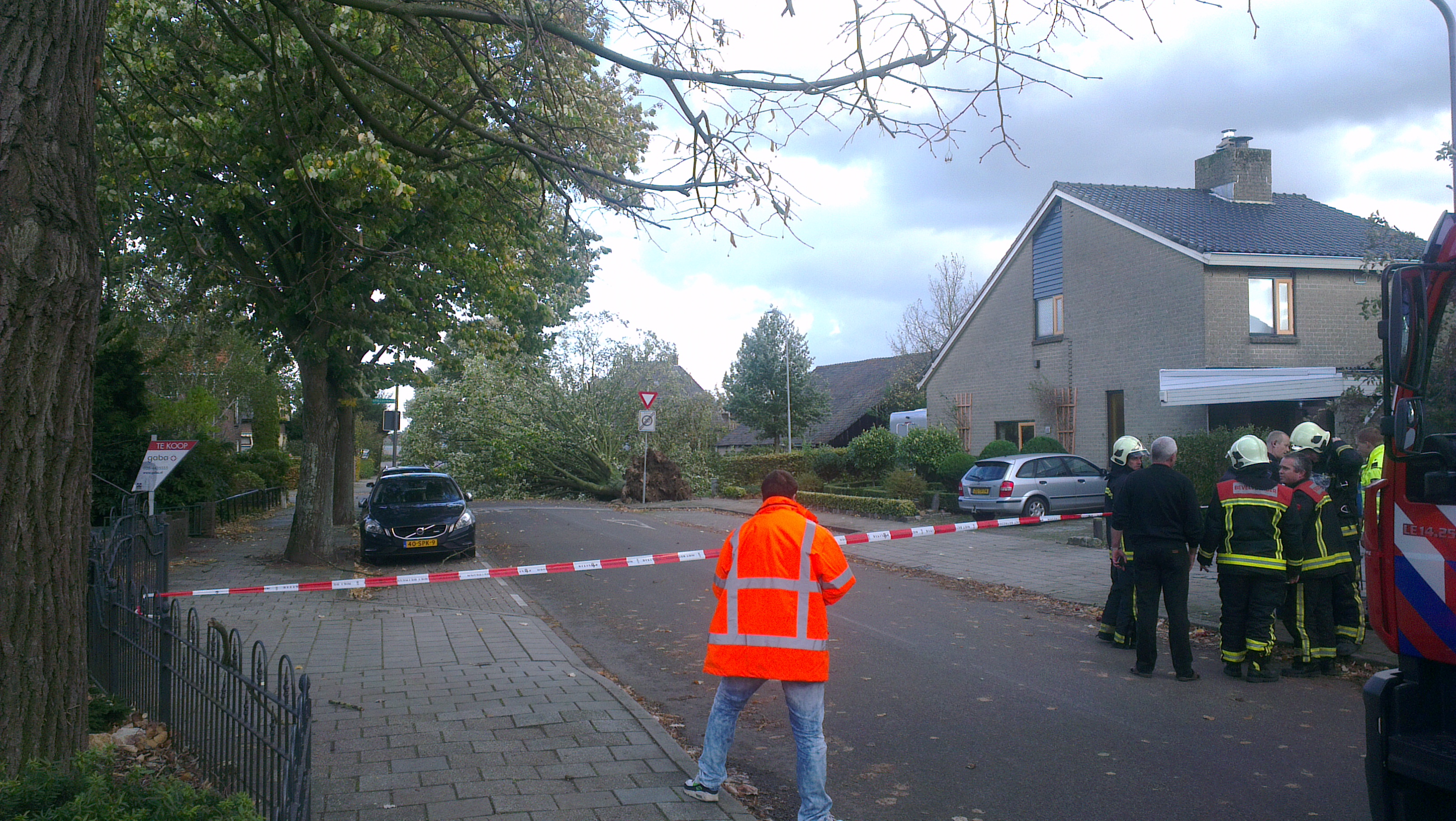 Boom waait om en neemt gasleiding mee - 28 oktober 2013